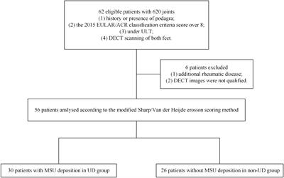 Detailed analysis of the association between urate deposition and bone erosion in gout: a dual-energy computed tomography study